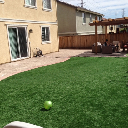 Faux Grass Gisela, Arizona Playground Turf, Backyards