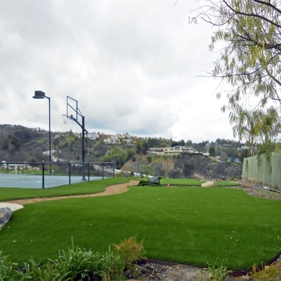 Artificial Grass in Round Rock, Arizona