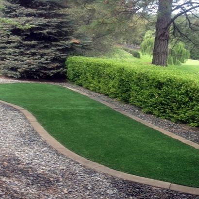 Fake Grass for Yards, Backyard Putting Greens in Summit, Arizona