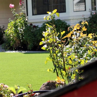 Artificial Grass in Tonopah, Arizona