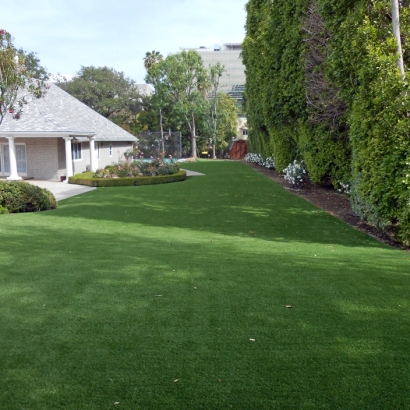 Fake Grass for Yards, Backyard Putting Greens in White Cone, Arizona