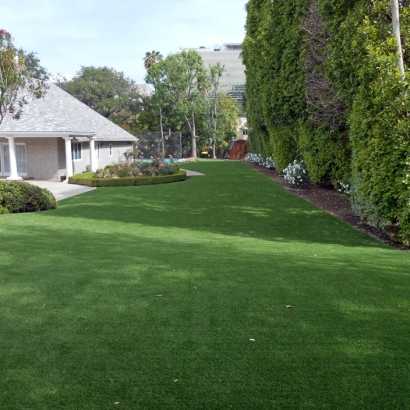 Artificial Turf in Steamboat, Arizona