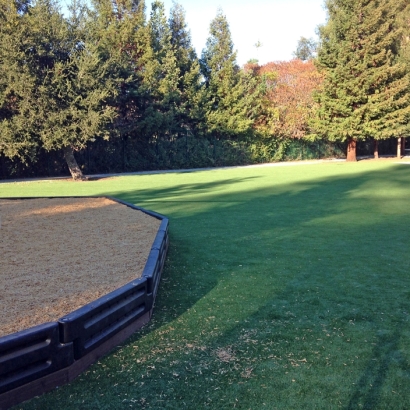 Fake Turf Grass in Tumacacori-Carmen, Arizona