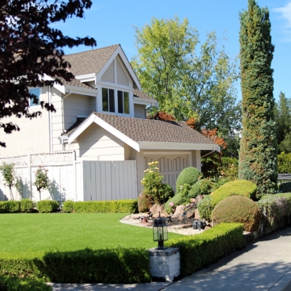 Artificial Grass in Wittmann, Arizona