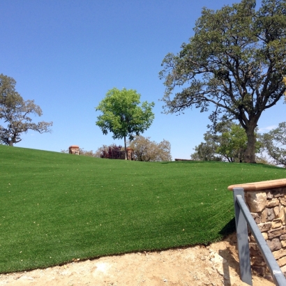 Artificial Turf in Topawa, Arizona