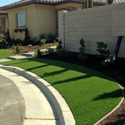 Artificial Grass in Spring Valley, Arizona