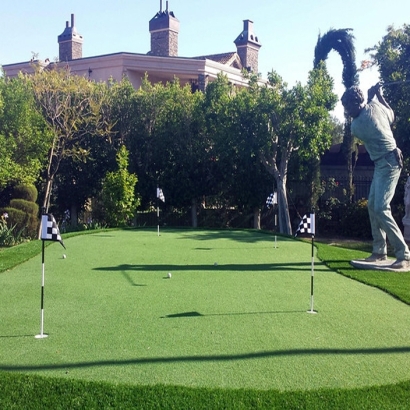 Grass Carpet Glendale, Arizona City Landscape, Backyard Makeover