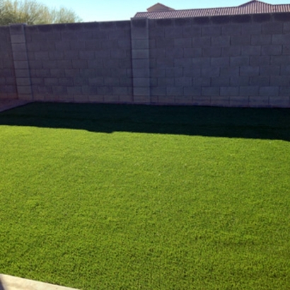 Artificial Grass in Oatman, Arizona