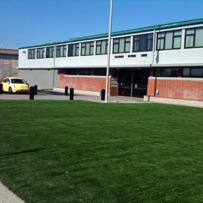 Synthetic Grass in Superior, Arizona