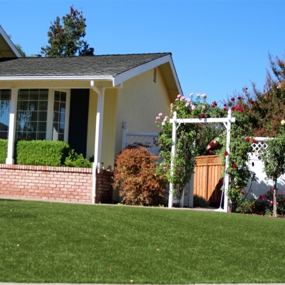 Synthetic Grass in Sun City West, Arizona