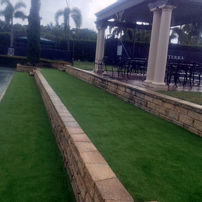 Synthetic Grass in Wellton, Arizona