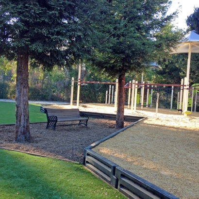 Fake Grass in Whispering Pines, Arizona