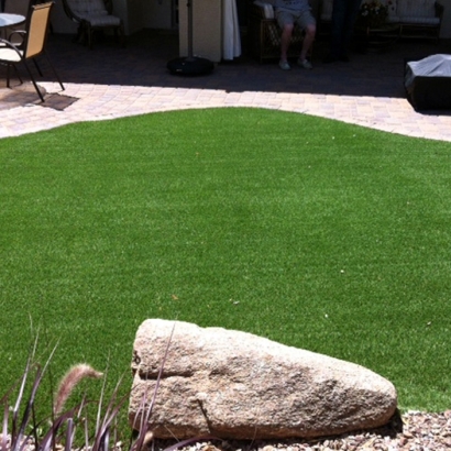 Fake Grass in Whispering Pines, Arizona