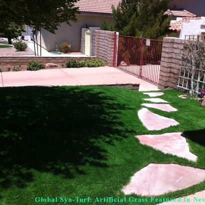 Grass Carpet Youngtown, Arizona Dog Hospital, Front Yard Landscaping Ideas