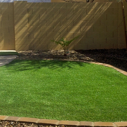 Synthetic Turf in Rio Rico, Arizona