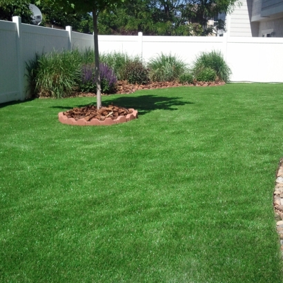 Synthetic Grass & Putting Greens in Buckeye, Arizona