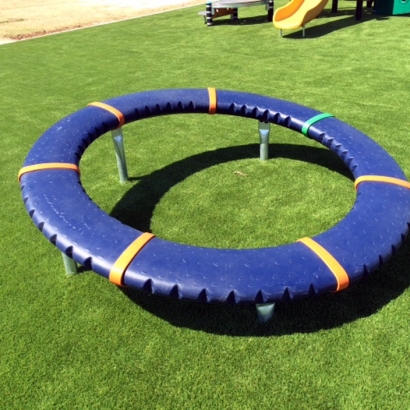 Artificial Grass in Winkelman, Arizona