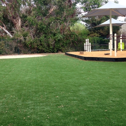 Artificial Grass in Houck, Arizona