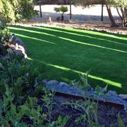 Artificial Turf in Oak Springs, Arizona