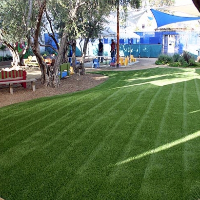 Fake Grass & Putting Greens in Phoenix, Arizona