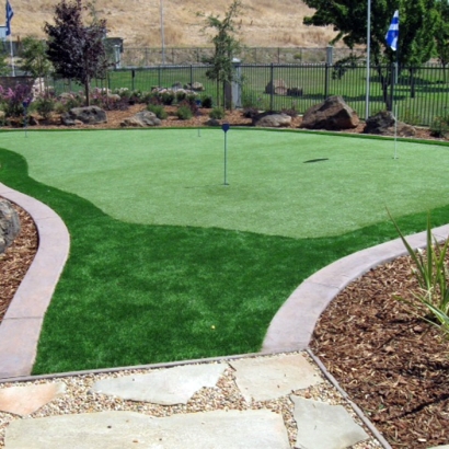 Grass Turf Pinon, Arizona Best Indoor Putting Green, Backyard Landscape Ideas