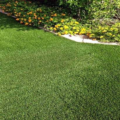 Fake Grass & Synthetic Putting Greens in Three Points, Arizona