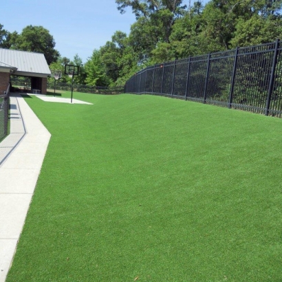 Artificial Turf in Topawa, Arizona