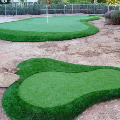 Synthetic Turf in Tusayan, Arizona