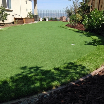 Artificial Turf in Oracle, Arizona