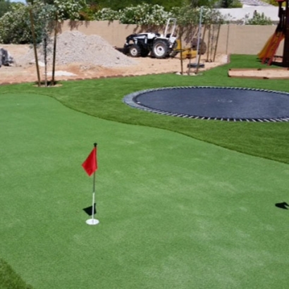 Green Lawn Congress, Arizona Outdoor Putting Green, Backyards