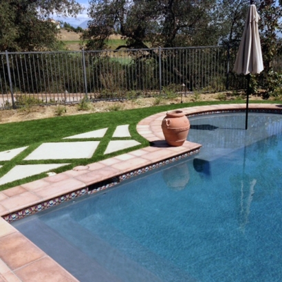 Artificial Turf in East Fork, Arizona