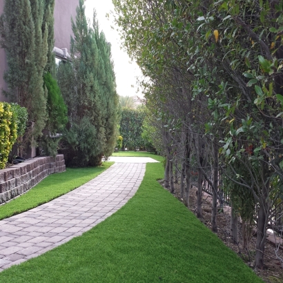 Fake Grass in Nogales, Arizona