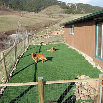 Green Lawn Peeples Valley, Arizona Indoor Dog Park, Small Backyard Ideas