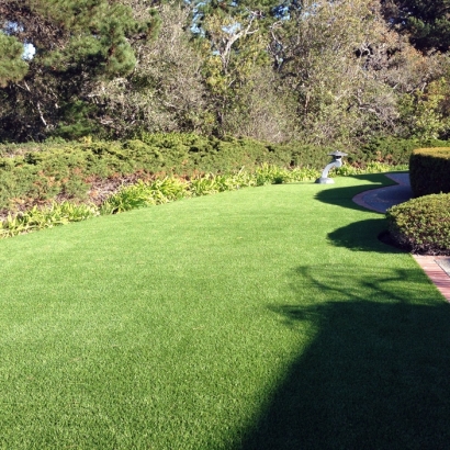 Artificial Grass in Taylor, Arizona