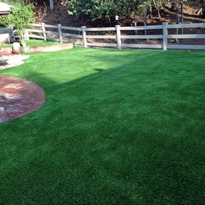 Green Lawn Tumacacori-Carmen, Arizona Backyard Playground, Backyards