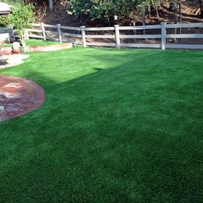 Fake Turf Grass in Tumacacori-Carmen, Arizona