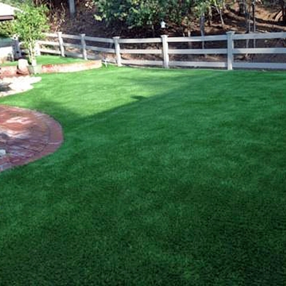 Synthetic Turf in Rio Rico, Arizona