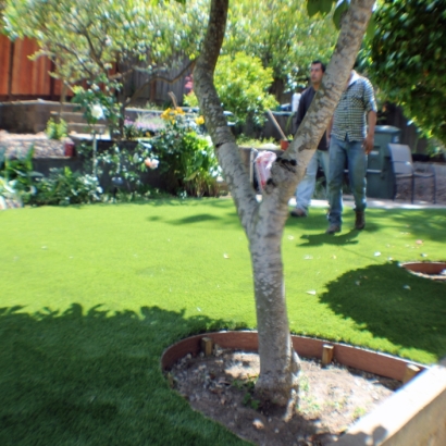 Green Lawn Youngtown, Arizona Lawn And Garden, Backyards