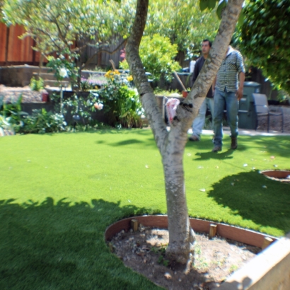 Synthetic Grass in Sun City, Arizona