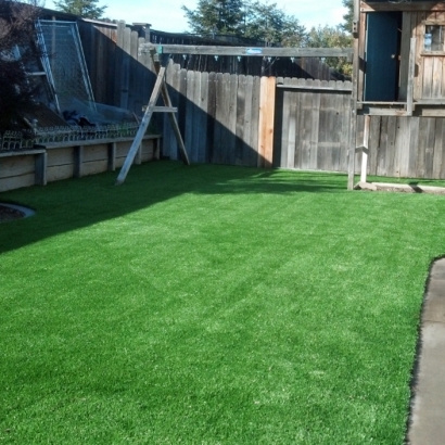 Artificial Turf in Avondale, Arizona