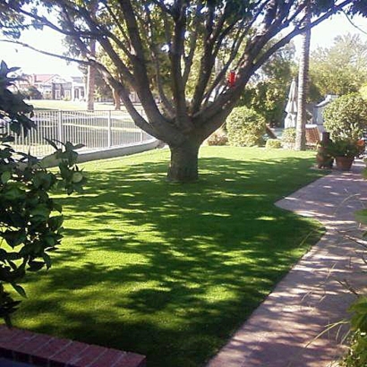 Synthetic Grass in Palominas, Arizona