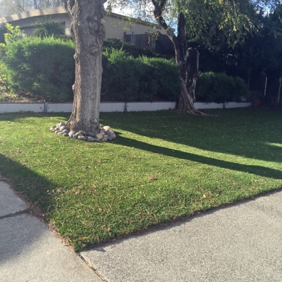 Outdoor Putting Greens & Synthetic Lawn in Window Rock, Arizona