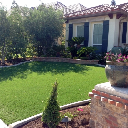 Artificial Turf in Wenden, Arizona