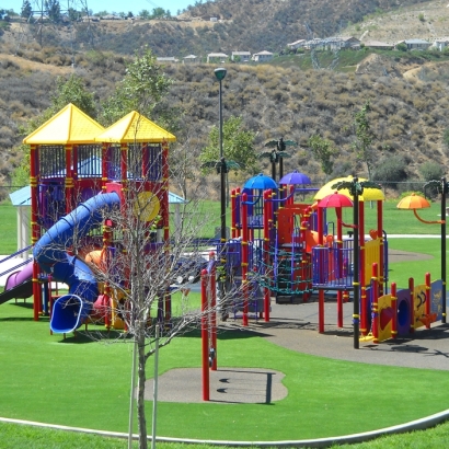 Artificial Turf in Swift Trail Junction, Arizona