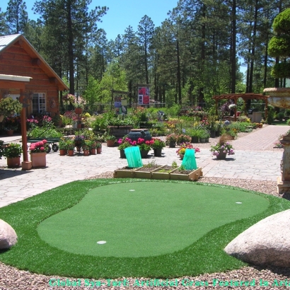 How To Install Artificial Grass Tempe Junction, Arizona Office Putting Green, Beautiful Backyards