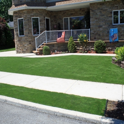 Artificial Grass in Arlington, Arizona