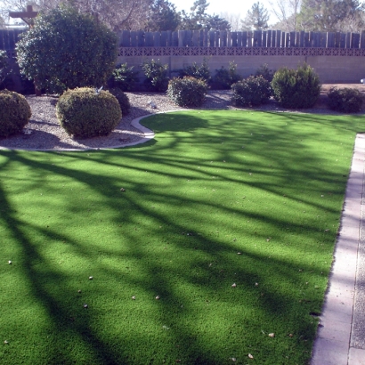 Fake Grass in Poston, Arizona - Better Than Real