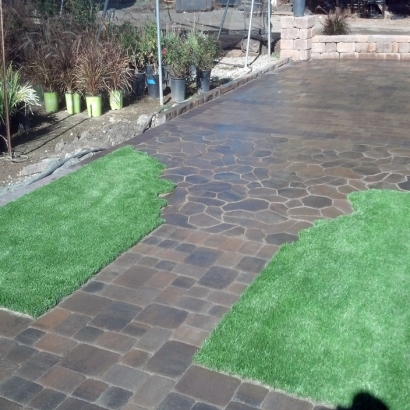 Synthetic Turf in McNeal, Arizona