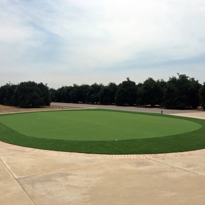 Synthetic Grass in Fredonia, Arizona