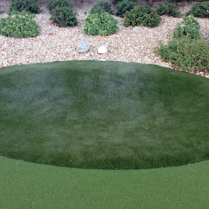 Fake Grass & Putting Greens in Kohls Ranch, Arizona